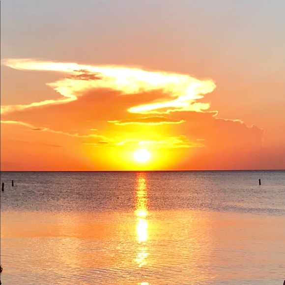 Meet your Posher, Kathi - Picture 7 of 9